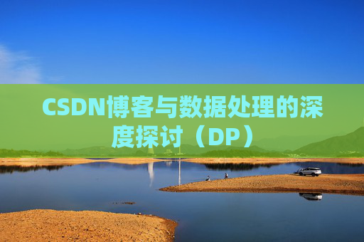 CSDN博客与数据处理的深度探讨（DP）